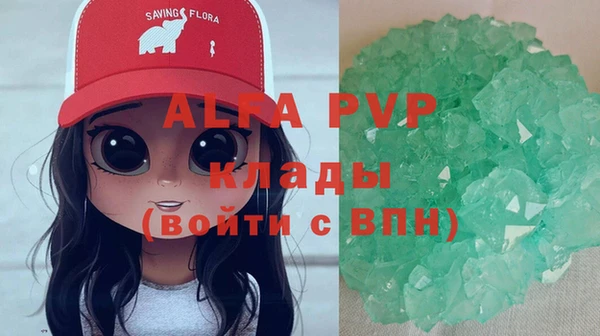 стаф Алексин