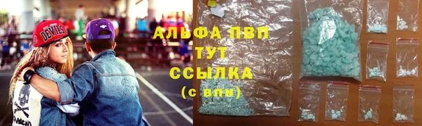 стаф Алексин