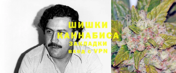 стаф Алексин