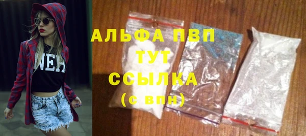 стаф Алексин