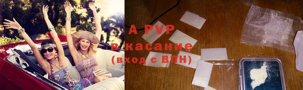 стаф Алексин