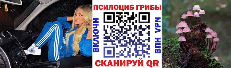 Галлюциногенные грибы GOLDEN TEACHER  где можно купить   Шацк 
